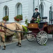 Location de Calèche pour Mariage proche de Brie (77)