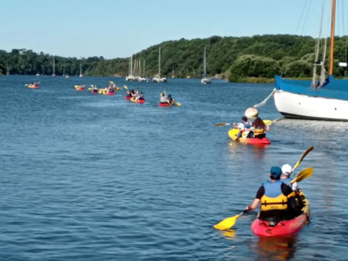 Location de Canoë à Arzal : parcours 15 km sur la Vilaine (56)