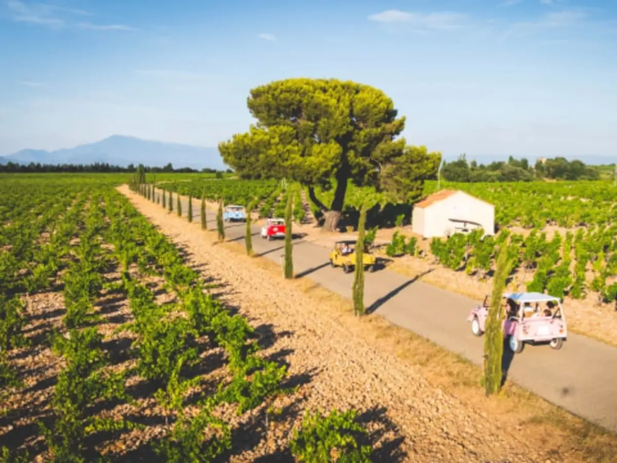 Location de Méhari thermique en Provence