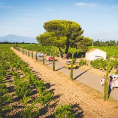 Location de Méhari thermique en Provence