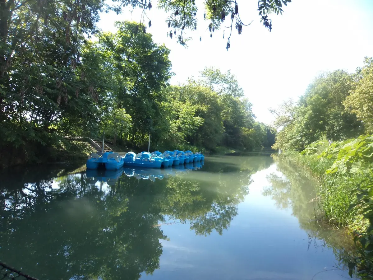 Location de pédalos