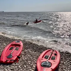 Location de Stand Up Paddle à L'Houmeau (17)