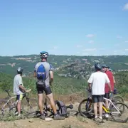 Location de VTT au coeur du site de Viaur dans l'Averyon