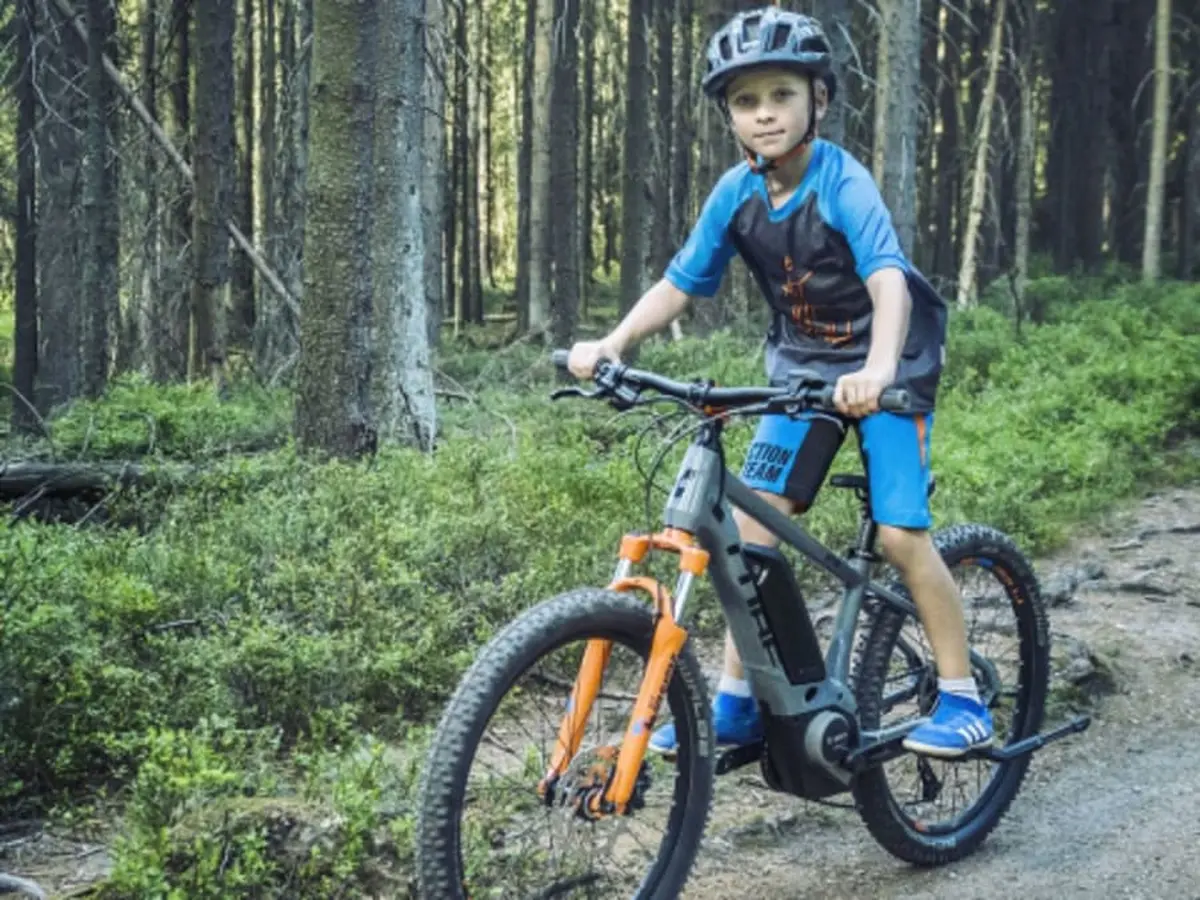 Location de VTT &eacute;lectrique &agrave; l'Etang de la vall&eacute;e (45)