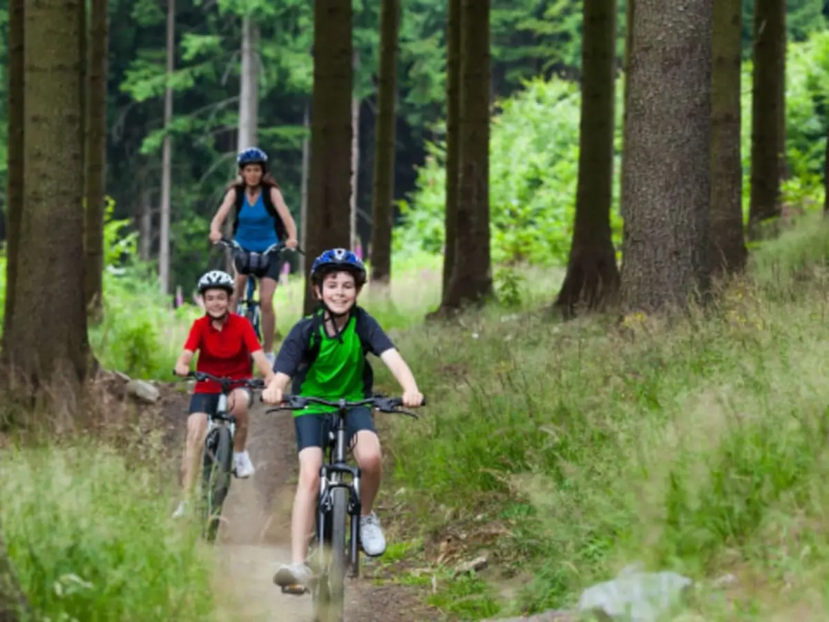 Location de VTT en forêt à Barbaste