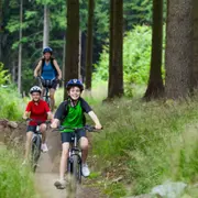 Location de VTT en forêt à Barbaste
