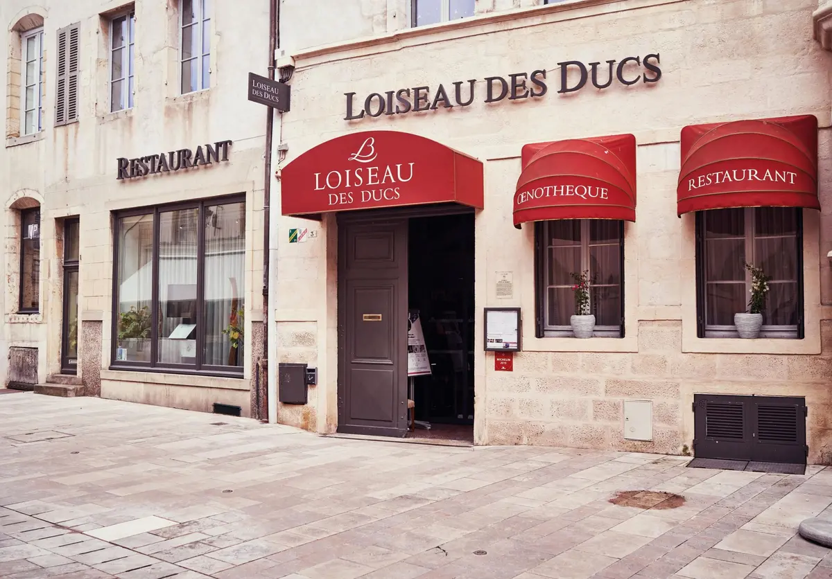 Loiseau des Ducs