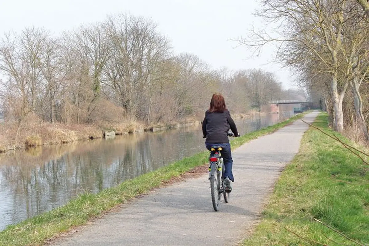 Longer le canal de Colmar à Artzenheim