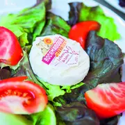 Lot Of Saveurs : le banquet ambulant à Caillac