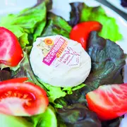 Lot Of Saveurs : Visite patrimiam au Parc Tassard