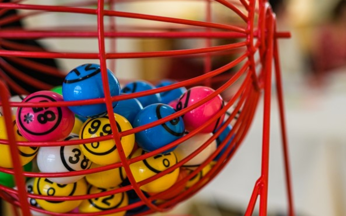 Loto solidaire des animaux