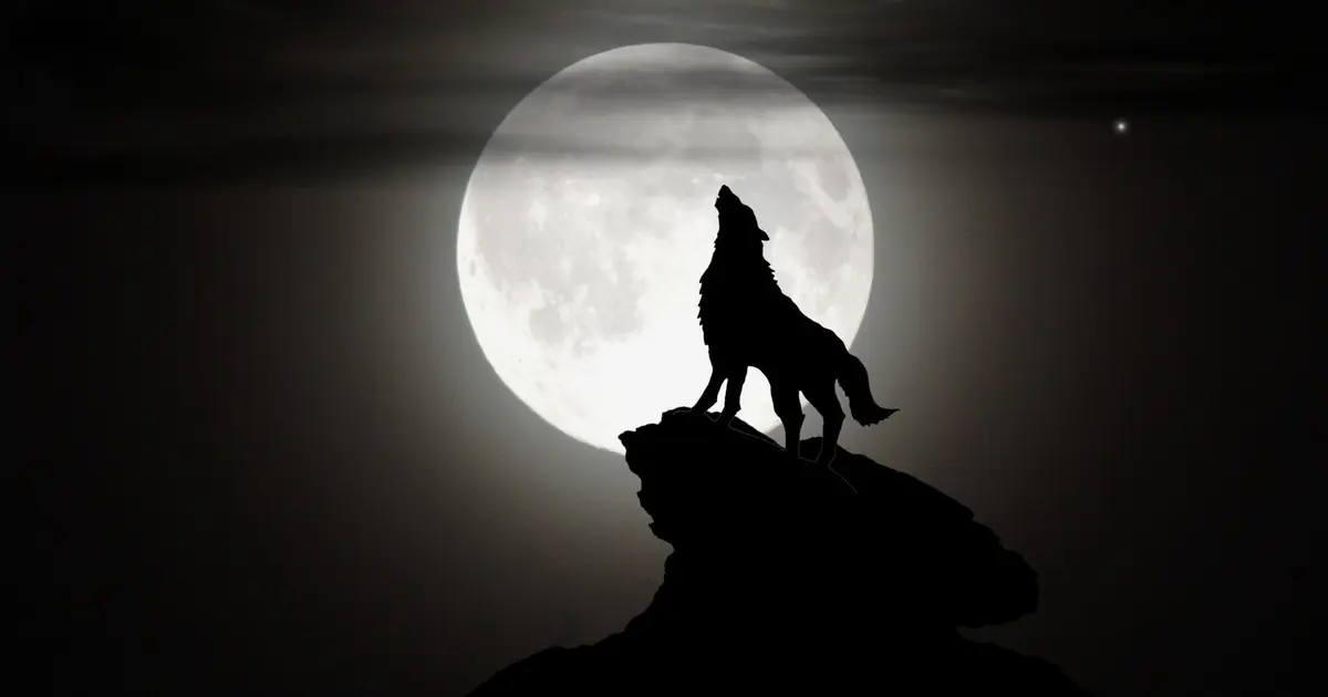 Loup-Garou de Thiercelieux ados ( 11 ans à 17 ans)