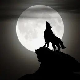 Loup-Garou de Thiercelieux ados ( 11 ans à 17 ans)