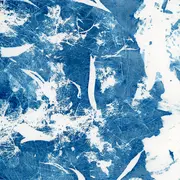 Lumière sur les prairies fleuries