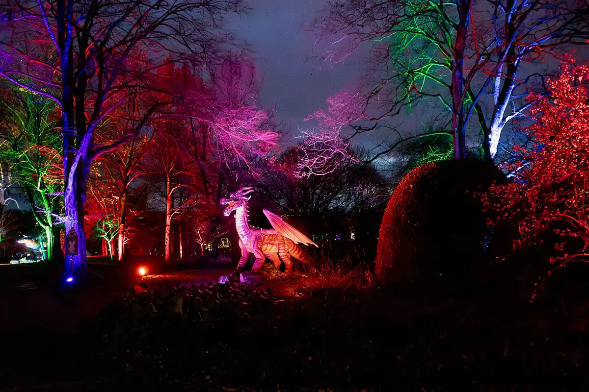 Un dragon vous attend 🐉