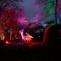 Un dragon vous attend 🐉 DR