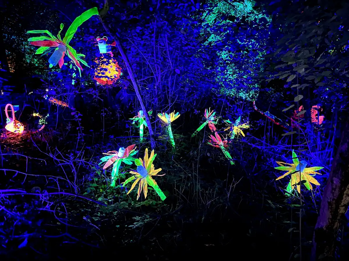 Une jungle lumineuse et immersive - Lumières d’hiver 2026