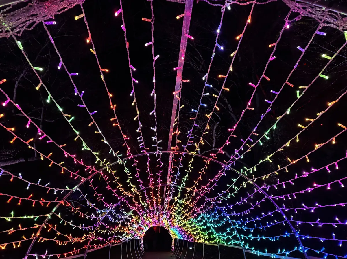 Une voûte de lumière spectaculaire