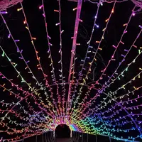 Une voûte de lumière spectaculaire DR