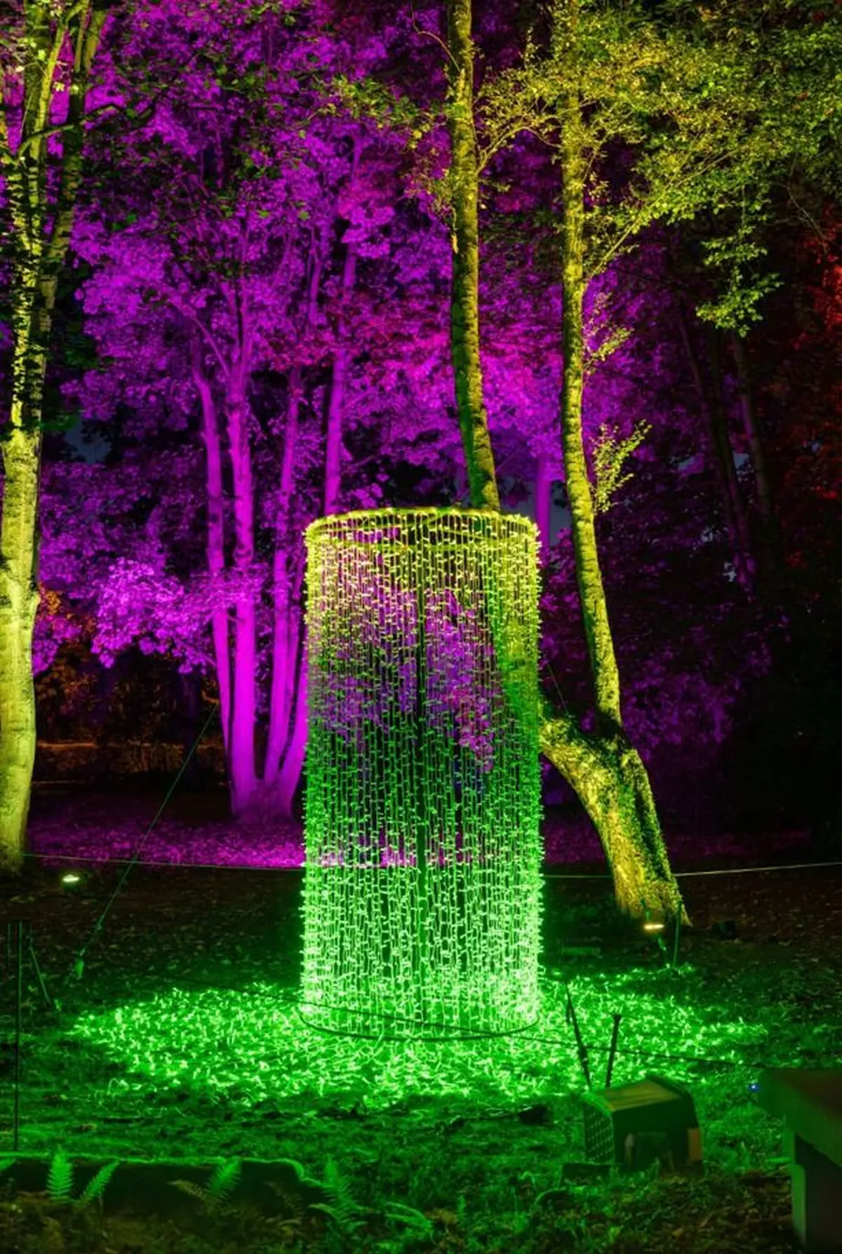 Quand le Luisenpark entre dans la magie de l’hiver