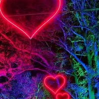 Cœurs lumineux suspendus dans les arbres DR