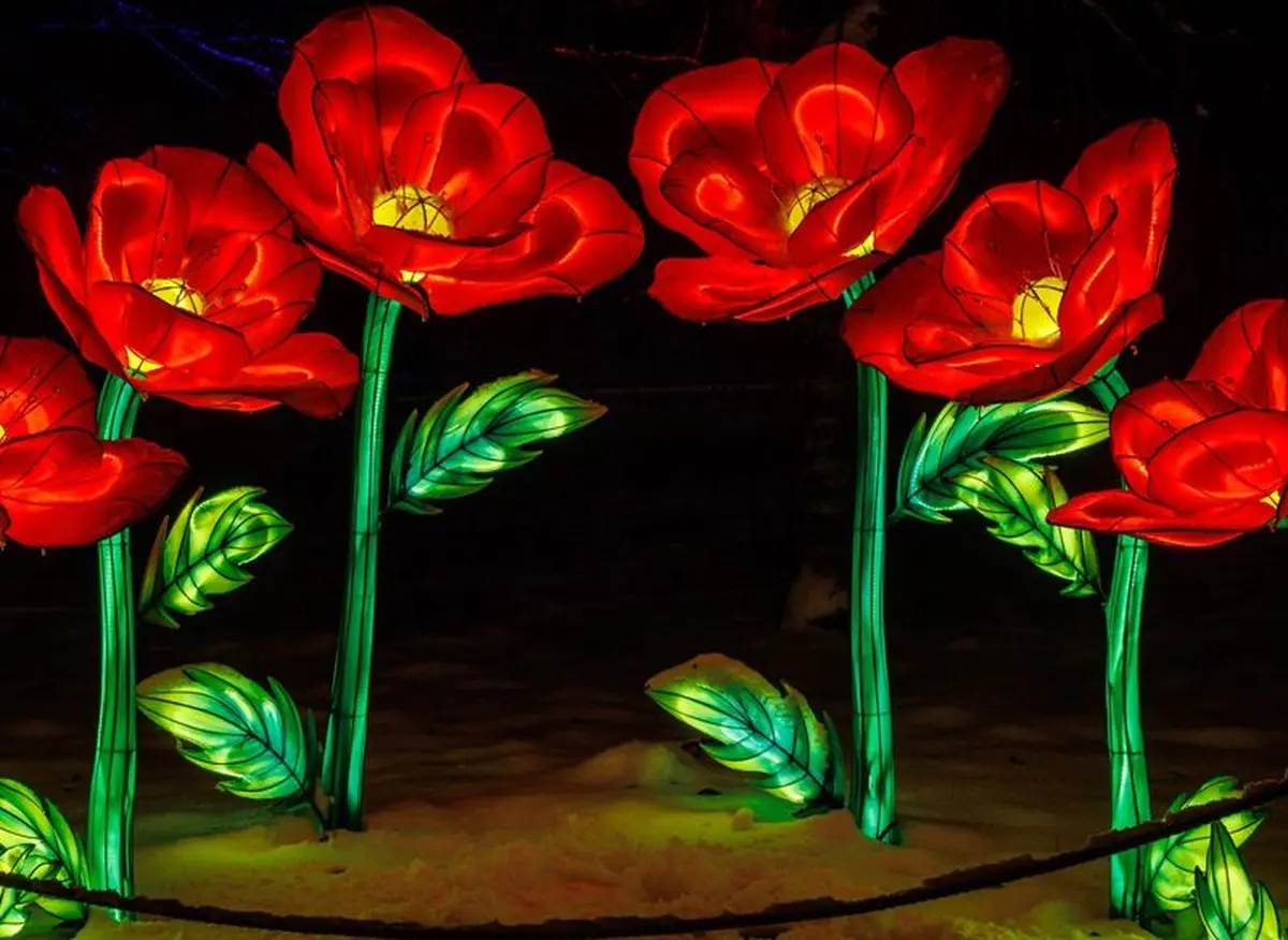 Des fleurs lumineuses géantes fleurissent dans la nuit