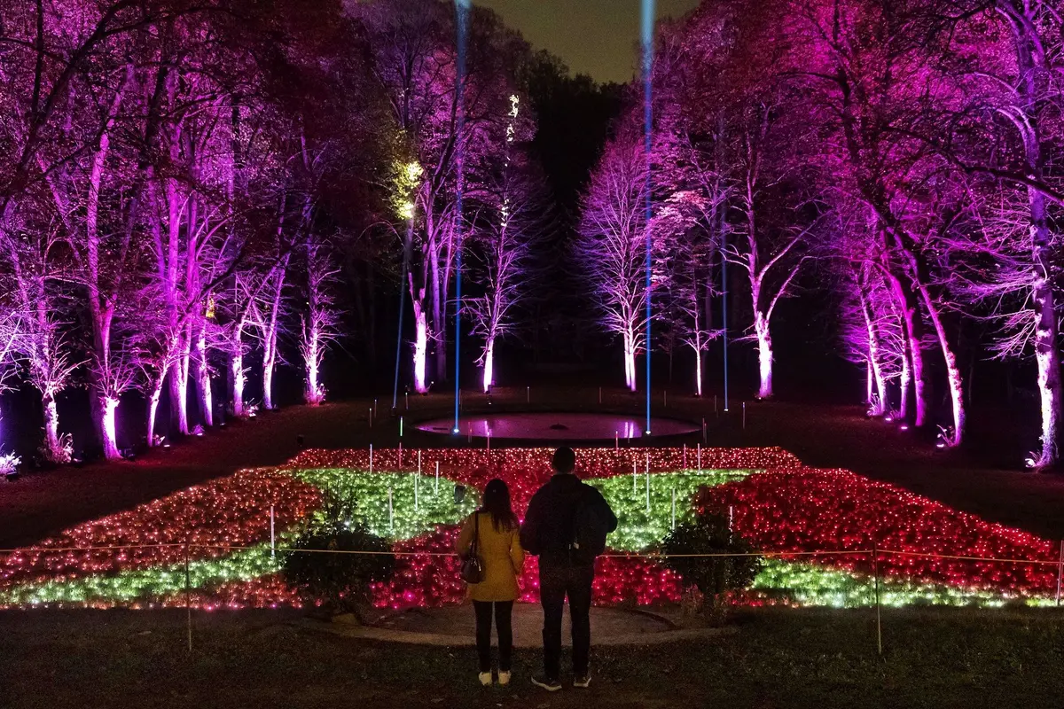 Le champ de luminescences