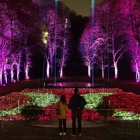 Le champ de luminescences DR