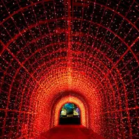 Un parcours lumineux et musical DR