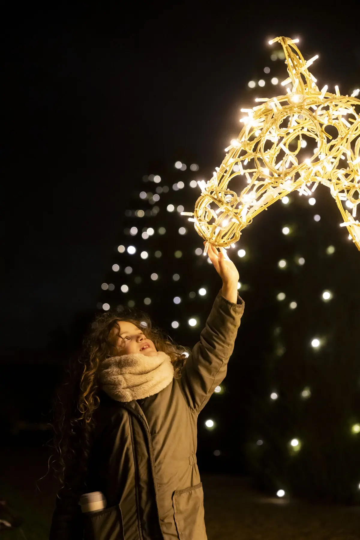 La féérique des lumières 