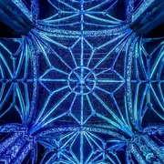 Ce week-end à Bordeaux : les meilleures idées sorties du 21 au 23 novembre 2025