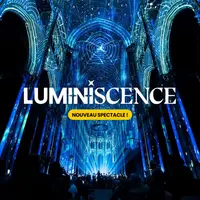 La Cathédrale de Bordeaux accueille une nouvelle fois LUMINISCENCE &copy; Luminiscence