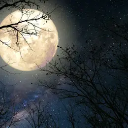 Lune des moissons : une superbe pleine lune à observer ce samedi 26 septembre partout en France