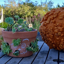 Ma créature succulente !