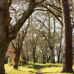 Ma forêt sensible