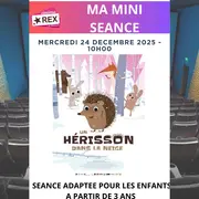 Ma mini séance: Un hérisson en hiver