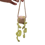 Ma plante en crochet !
