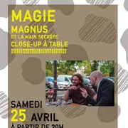 Magie Close-up à table