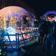 Magie De Noël - Le Jardin Enchanté