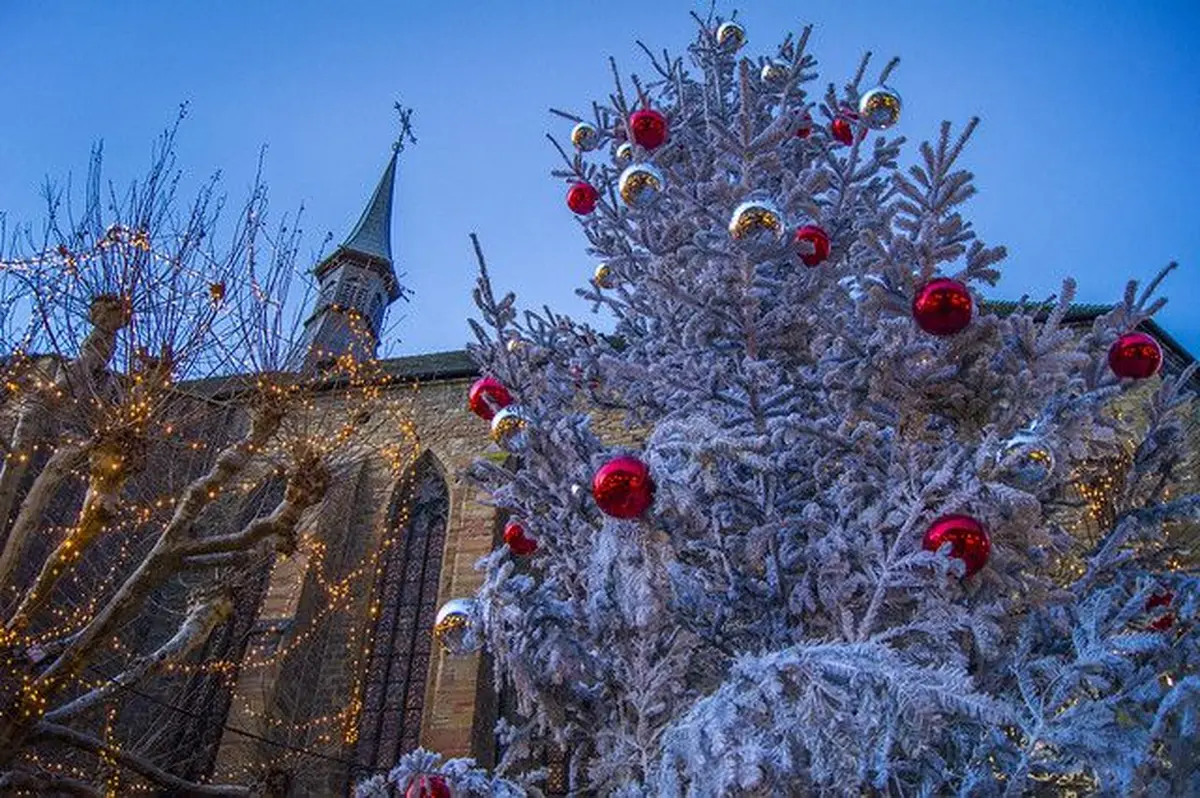La magie de Noël s'installe dans toute la ville de Colmar