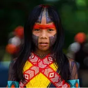 Magnifique et Stupéfiante Amazonie