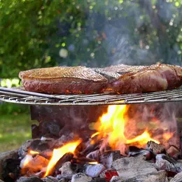 Magret de canard au barbecue