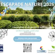 Mais qui se cachent dans ce marais de Ver-sur-Mer/ Meuvaines ?