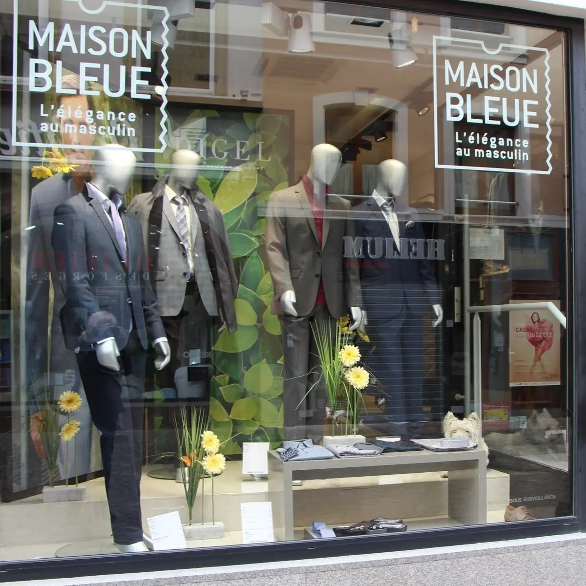 Maison bleue Mulhouse