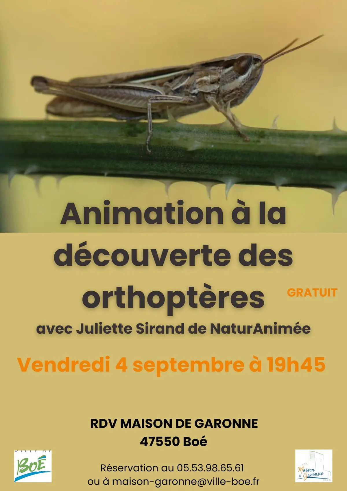 Maison de Garonne :  Animation à la découverte des orthoptères – tout public