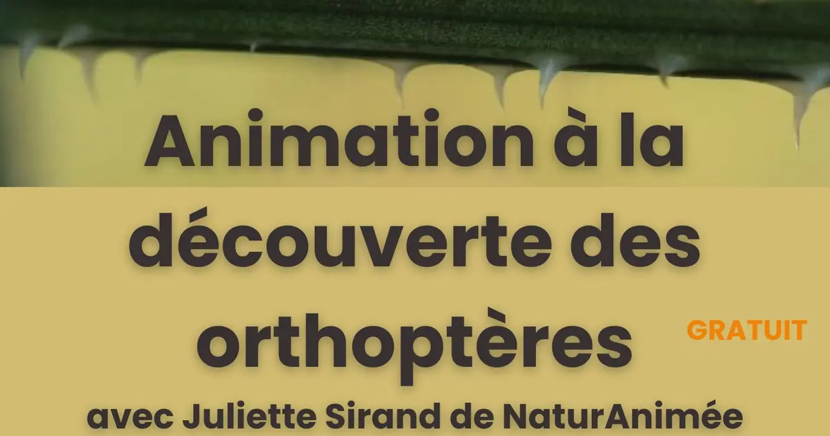 Maison de Garonne : Animation à la découverte des orthoptères – tout public