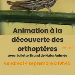 Maison de Garonne :  Animation à la découverte des orthoptères – tout public