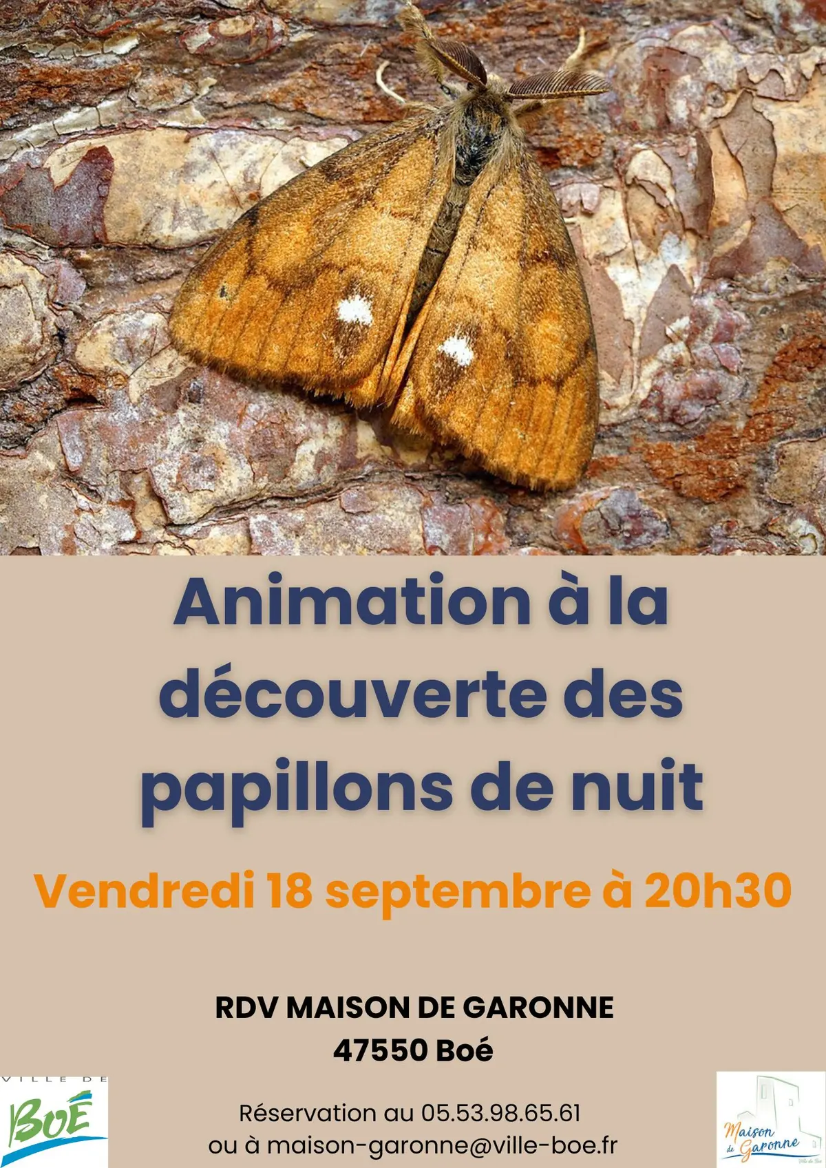 Maison de Garonne :  Animation découverte des papillons de nuit – tout public