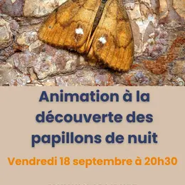 Maison de Garonne :  Animation découverte des papillons de nuit – tout public