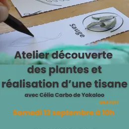 Maison de Garonne :  Atelier de reconnaissance des plantes et réalisation d’une tisane – tout public